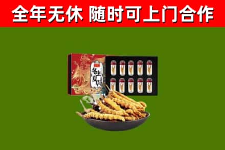 渭南回收冬虫夏草价格